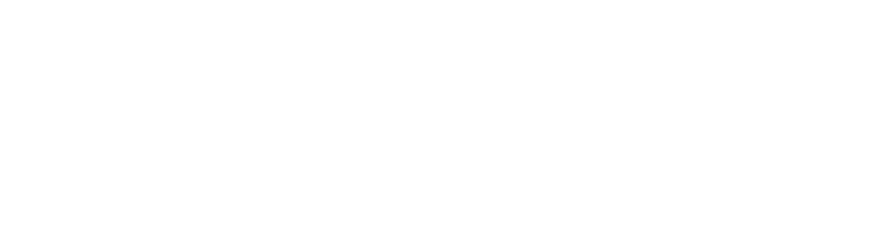 Cheetah Solutions